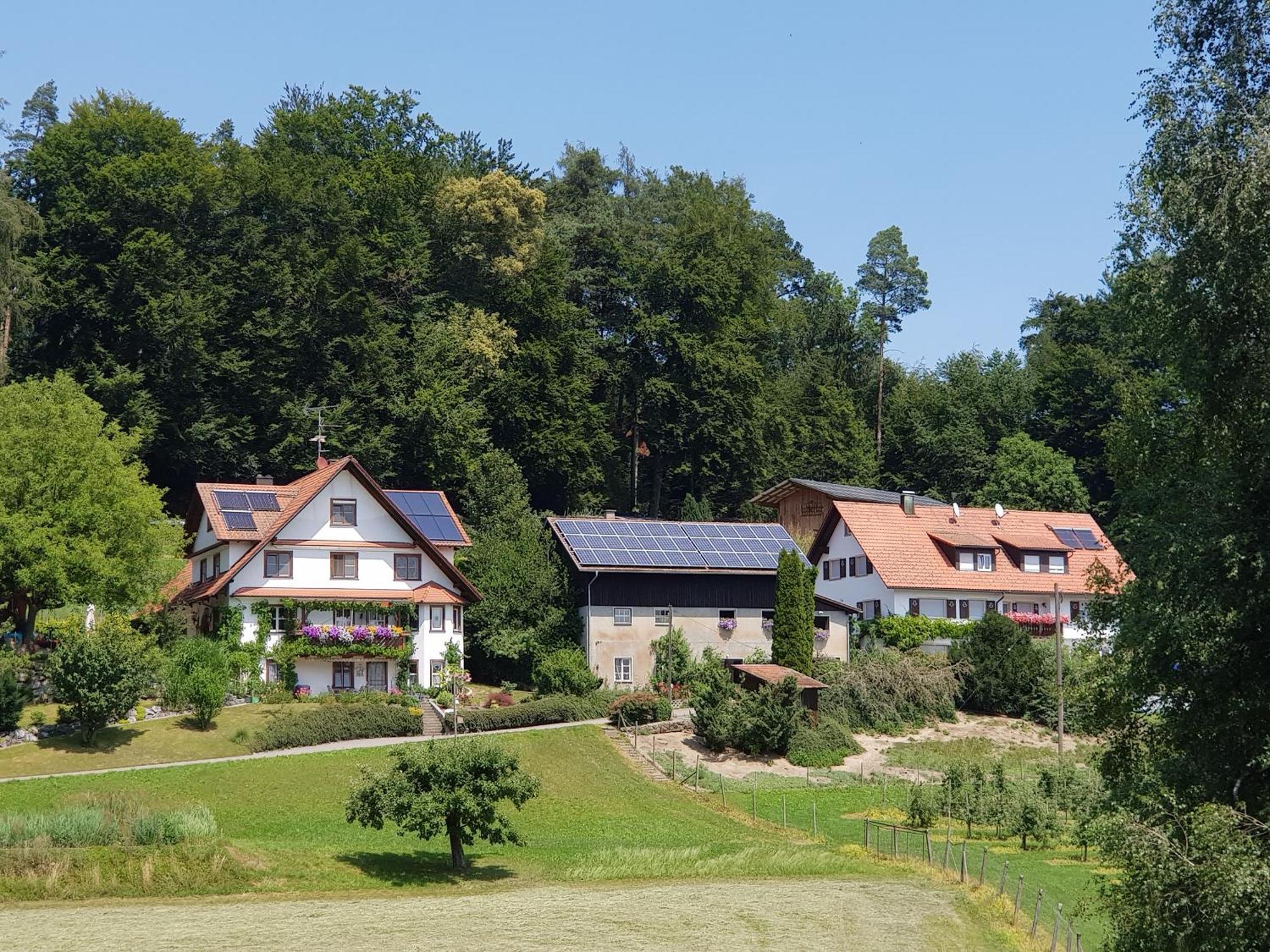 Ferienwohnung Sonnenschein Unterreitnau Exteriör bild
